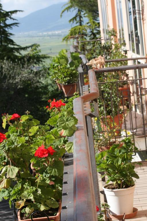 La Congiura Dei Baroni Hotel Teggiano